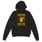 Pokemon 10 Classic Unisex Pullover Hoodie